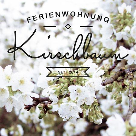 Ferienwohnung Kirschbaum Rust Extérieur photo